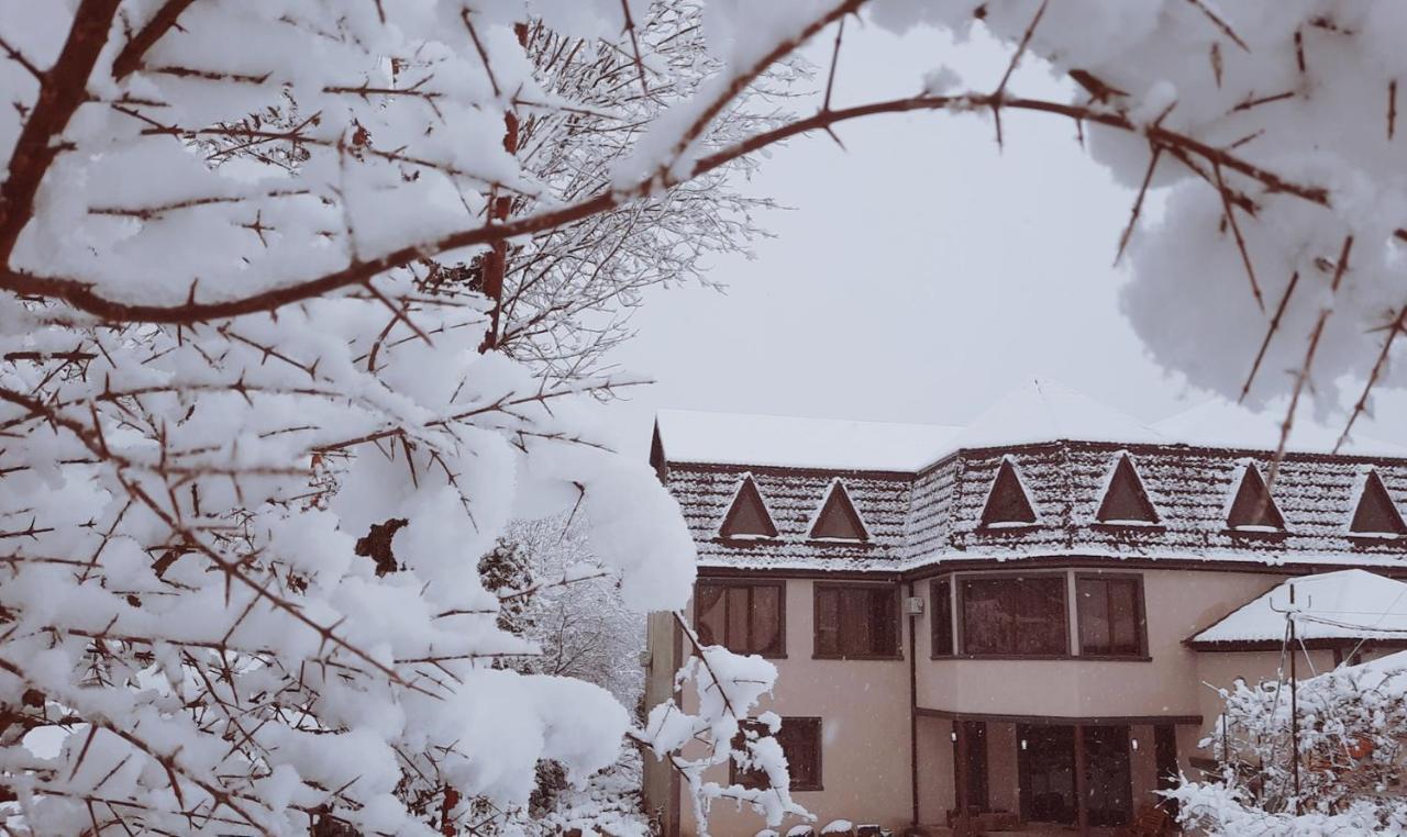 Inaisi Hotel Kutaissi Exterior foto
